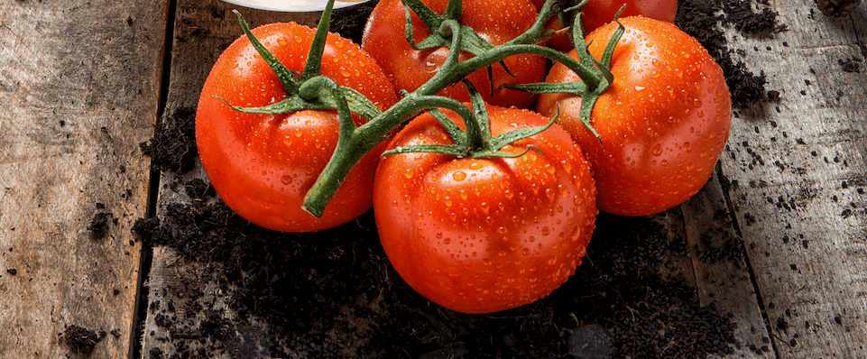 Fresh produce background